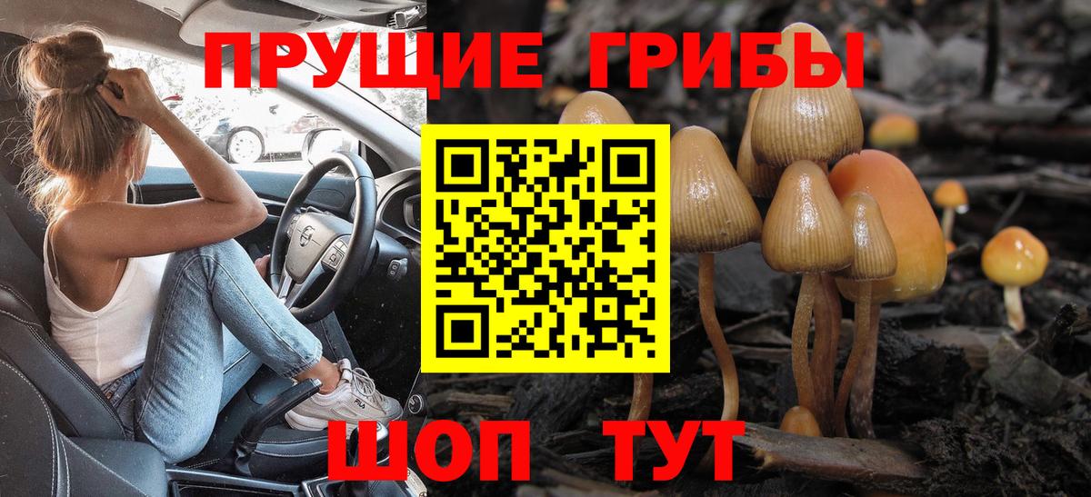 Галлюциногенные грибы GOLDEN TEACHER Элиста