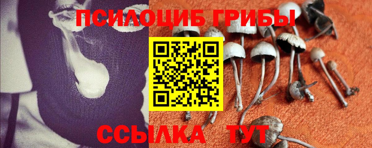 Галлюциногенные грибы GOLDEN TEACHER  Вход с VPN  Элиста  Галлюциногенные грибы прущие грибы 