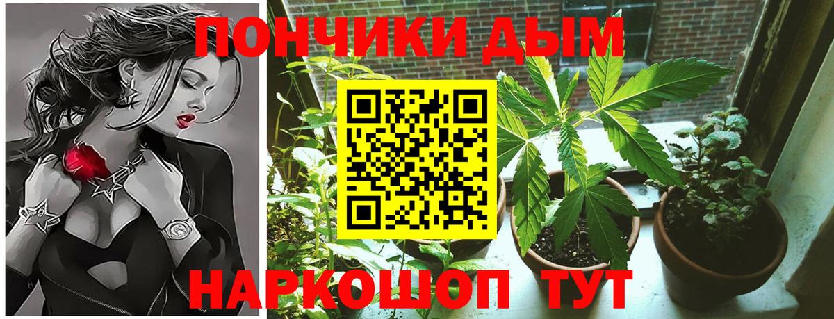 Каннабис VHQ  Вход с VPN  Элиста  Бошки марихуана планчик  Бошки Шишки VHQ  Бошки марихуана SATIVA & INDICA 